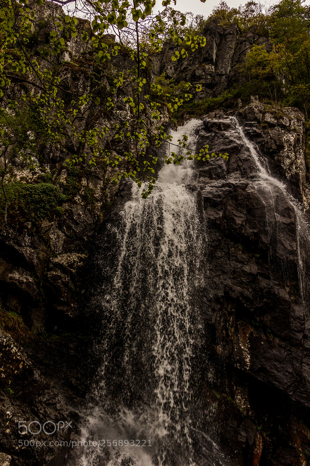 Canon EOS 500D (EOS Rebel T1i / EOS Kiss X3) sample photo. Boyana waterfall photography