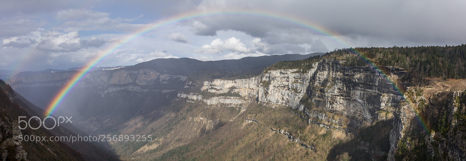 Canon EOS 5D Mark IV sample photo. Rainbow ?  photography