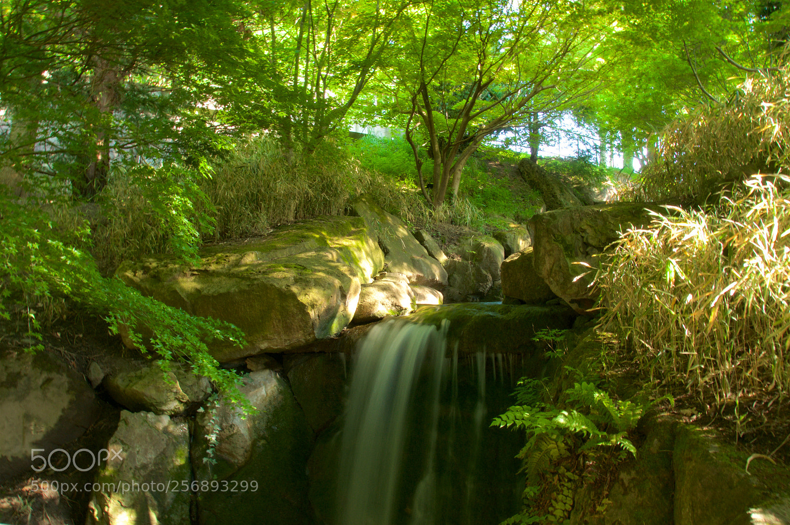 Nikon D5000 sample photo. Zen waterfall photography