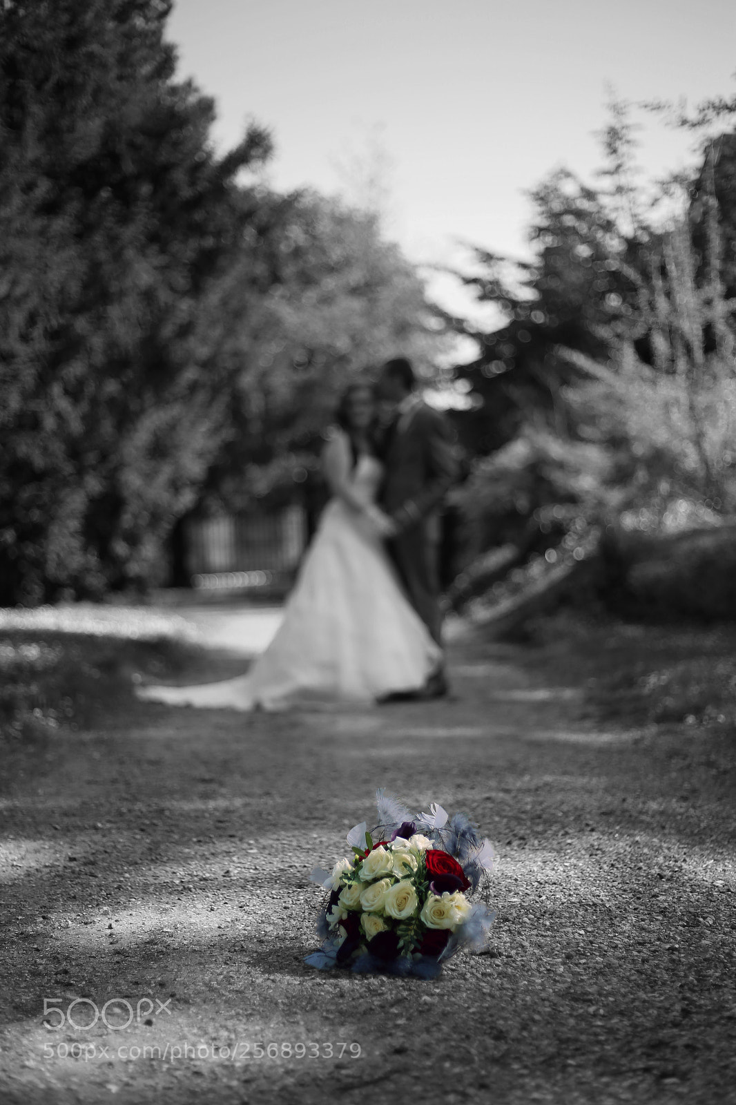 Canon EOS 6D sample photo. Le bouquet photography