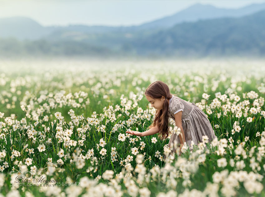 Canon EOS 5D Mark IV sample photo. Daffodils photography