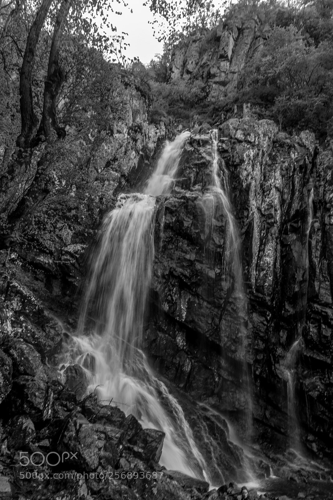 Canon EOS 500D (EOS Rebel T1i / EOS Kiss X3) sample photo. Waterfall in b&w photography