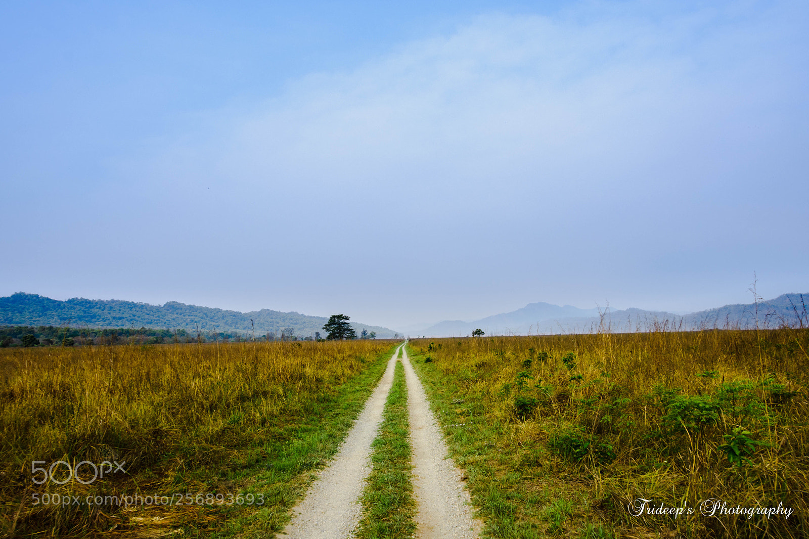 Nikon D7200 sample photo. The long road photography