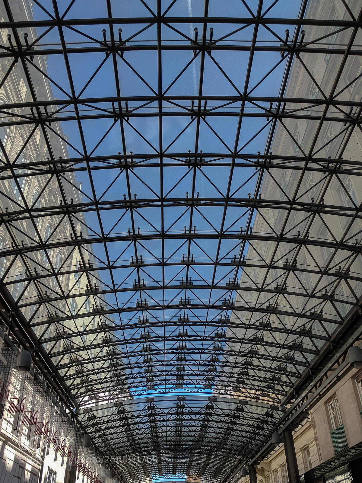 LG Nexus 5X sample photo. Pattern photography