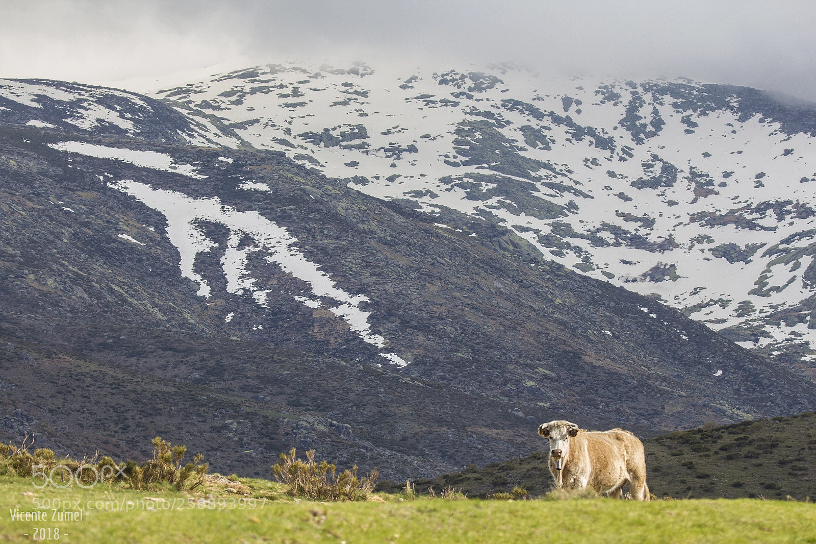 Canon EOS 700D (EOS Rebel T5i / EOS Kiss X7i) sample photo. Sierra de gredos photography