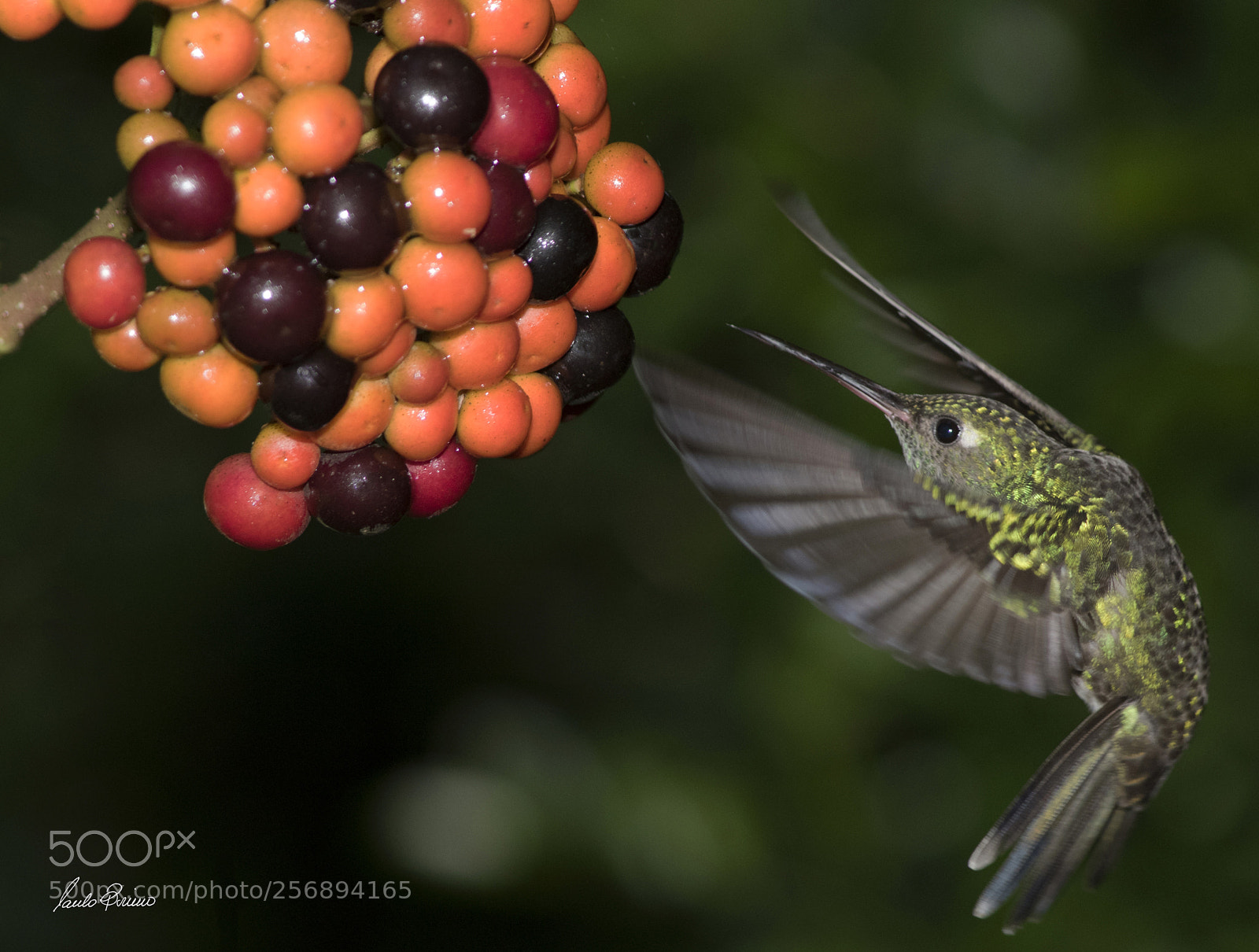 Nikon D810 sample photo. Untitle photography