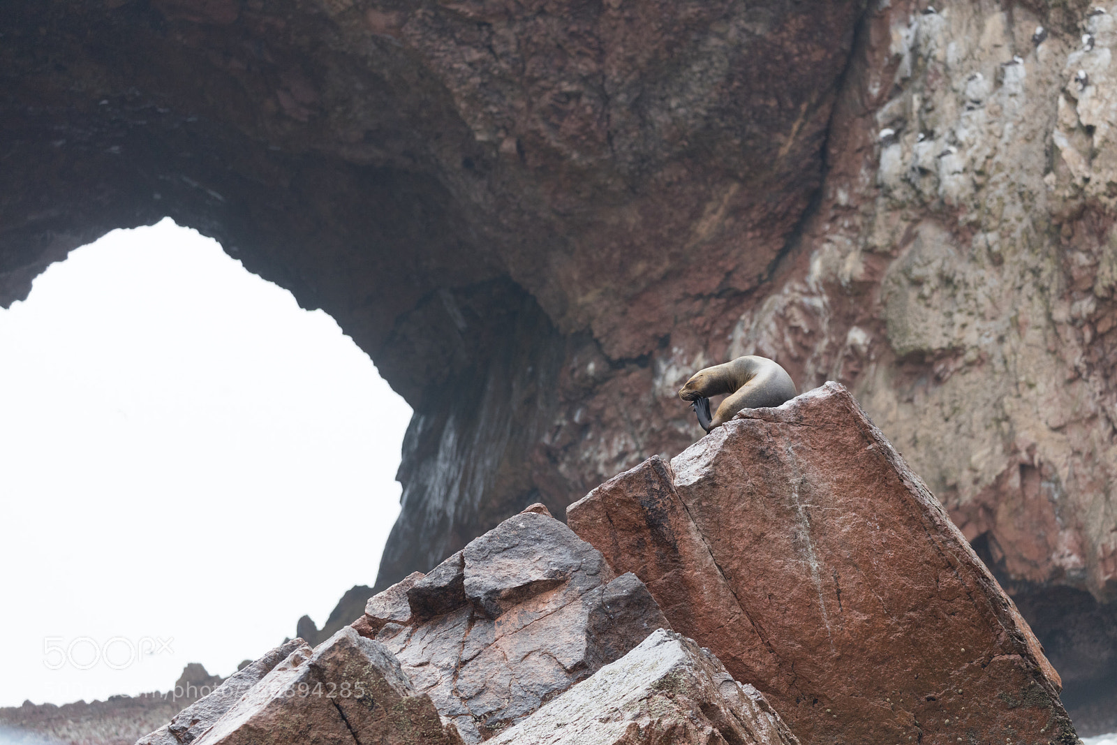 Canon EOS 5DS R sample photo. Ballestas islands, perù photography