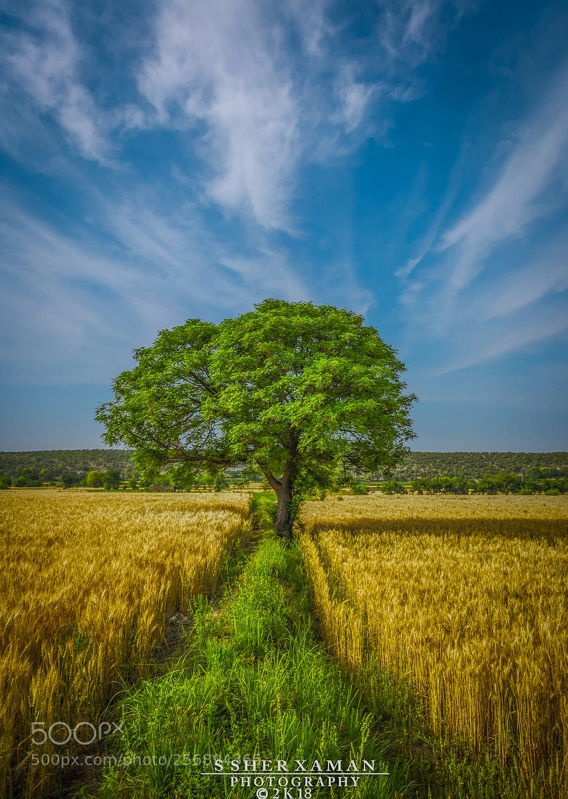 Nikon D7000 sample photo. Beautiful punjab photography