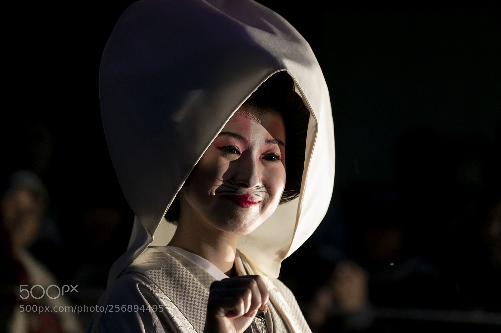 Canon EOS 5D Mark IV sample photo. 狐の嫁入り photography