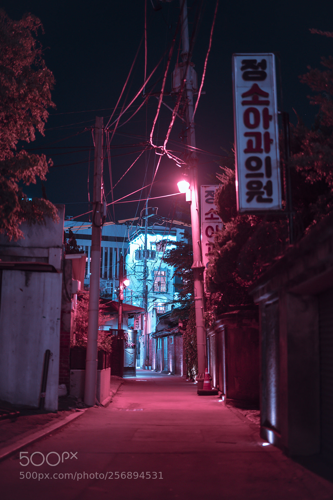 Nikon D850 sample photo. Witch way photography