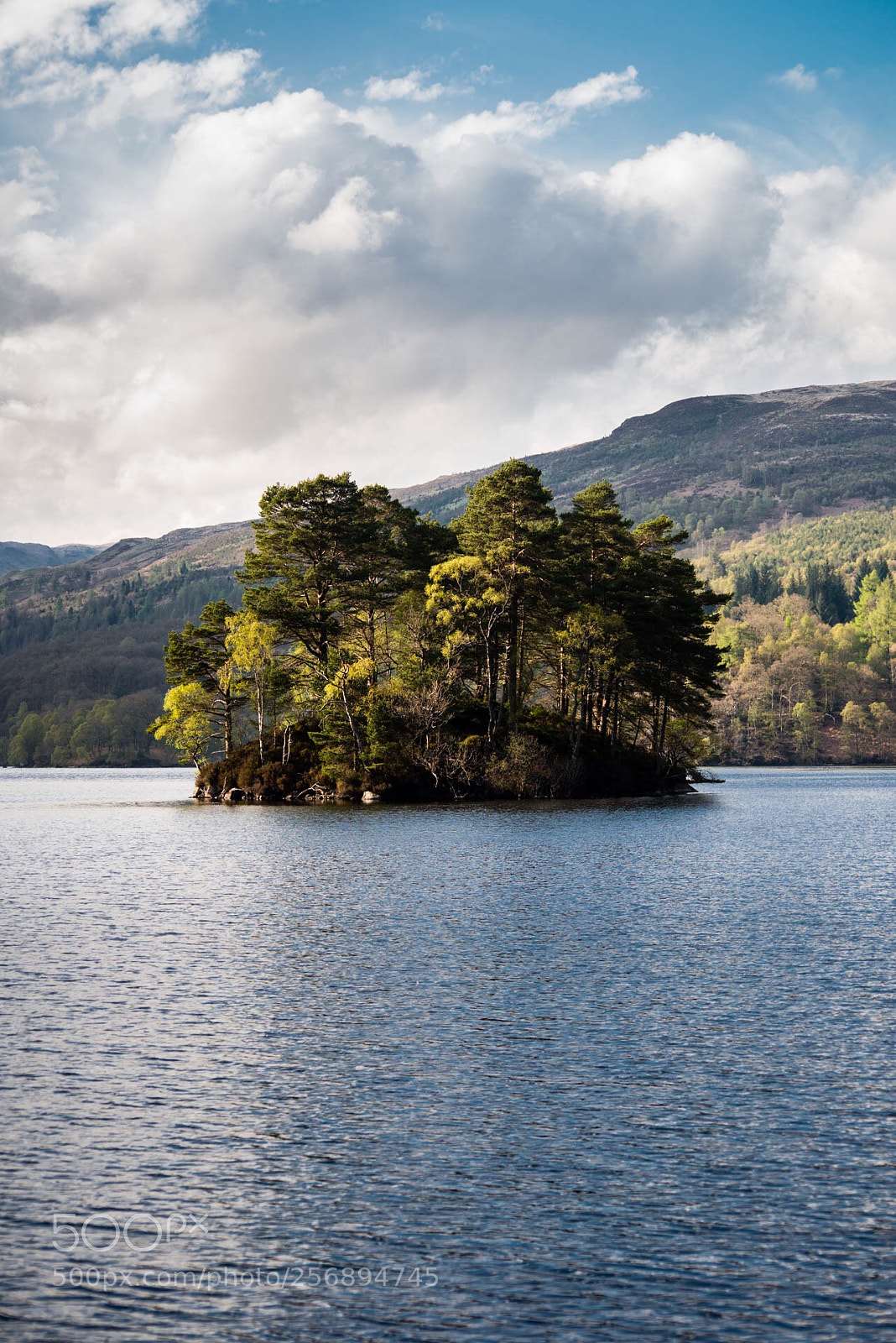Nikon D800 sample photo. Forest island photography