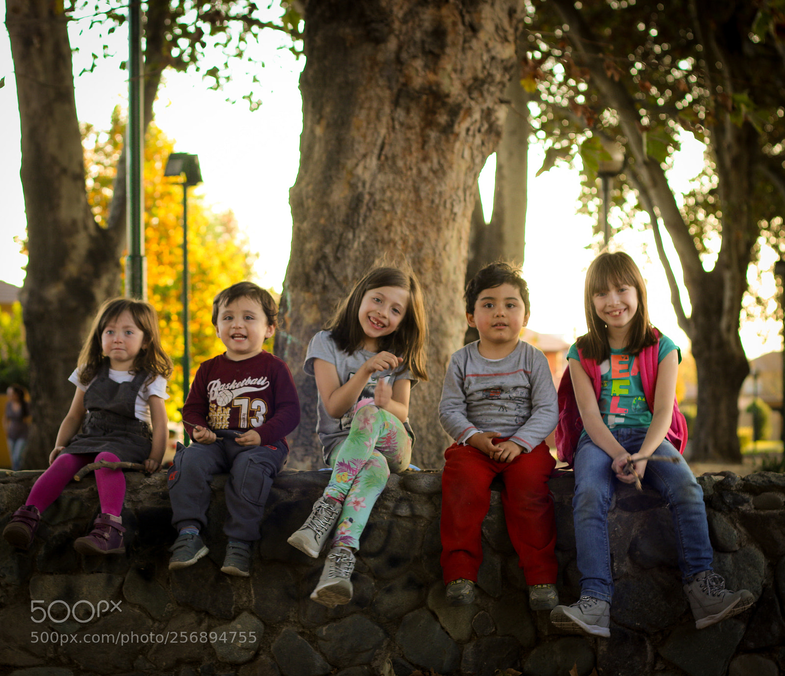 Canon EOS 70D sample photo. All together !!! photography