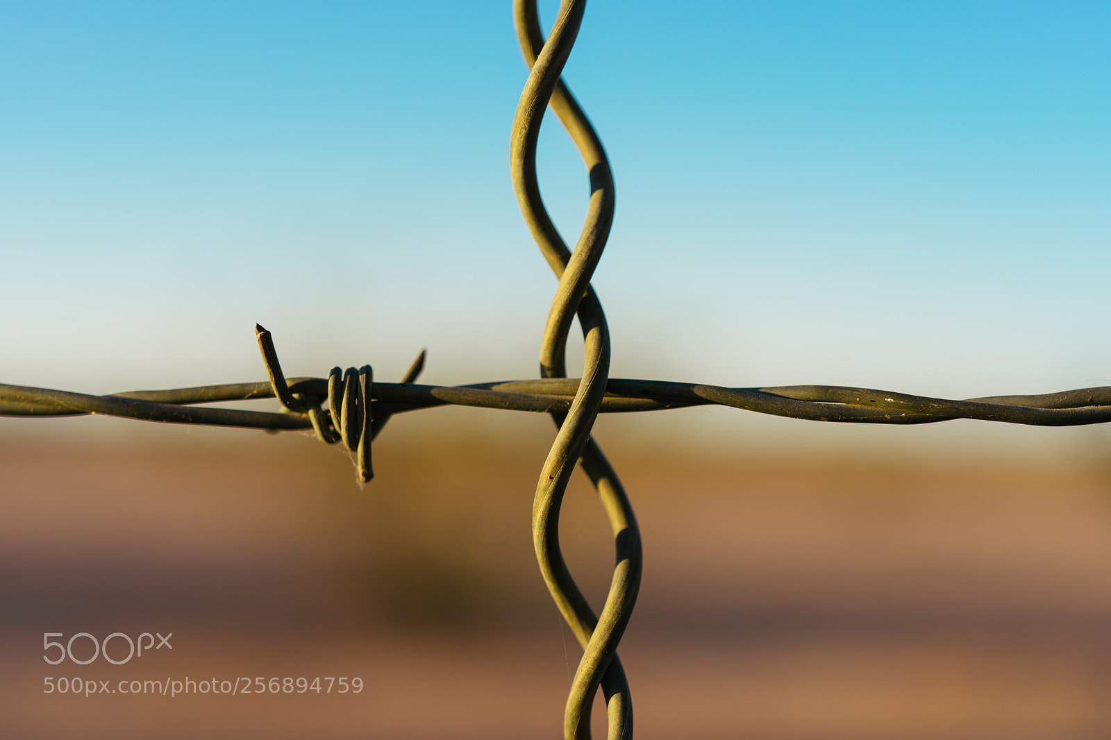 Sony a7 II sample photo. Desert view photography