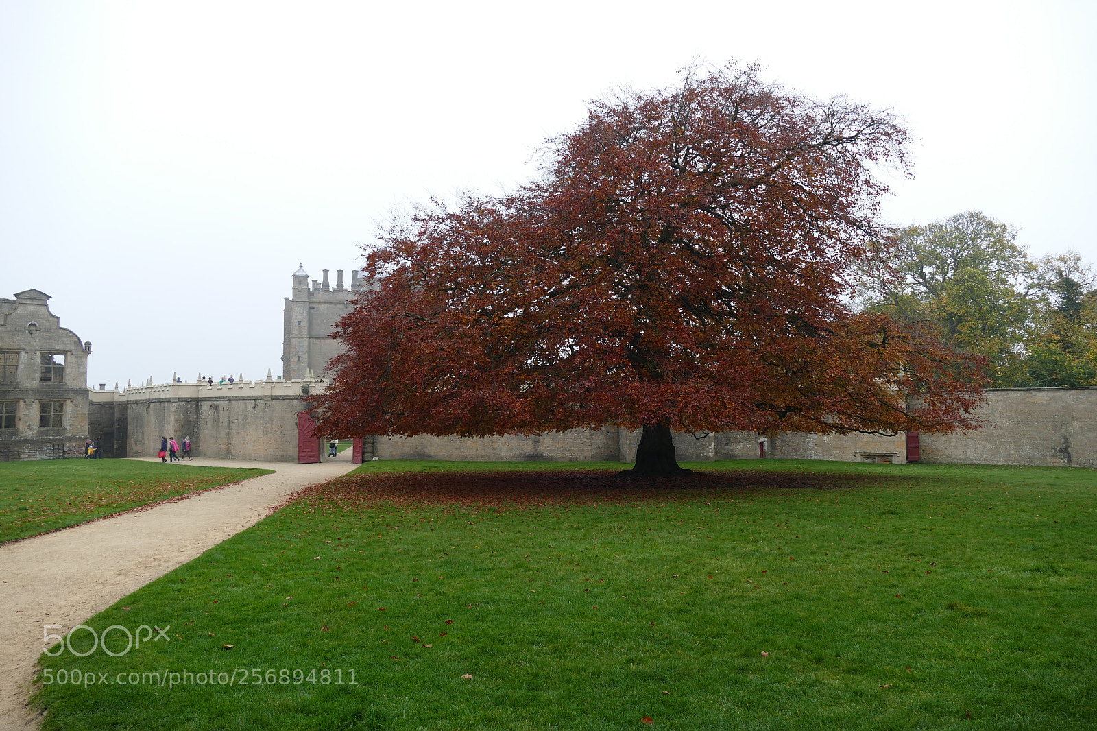 Panasonic Lumix DMC-FZ1000 sample photo. Bolsover castle photography