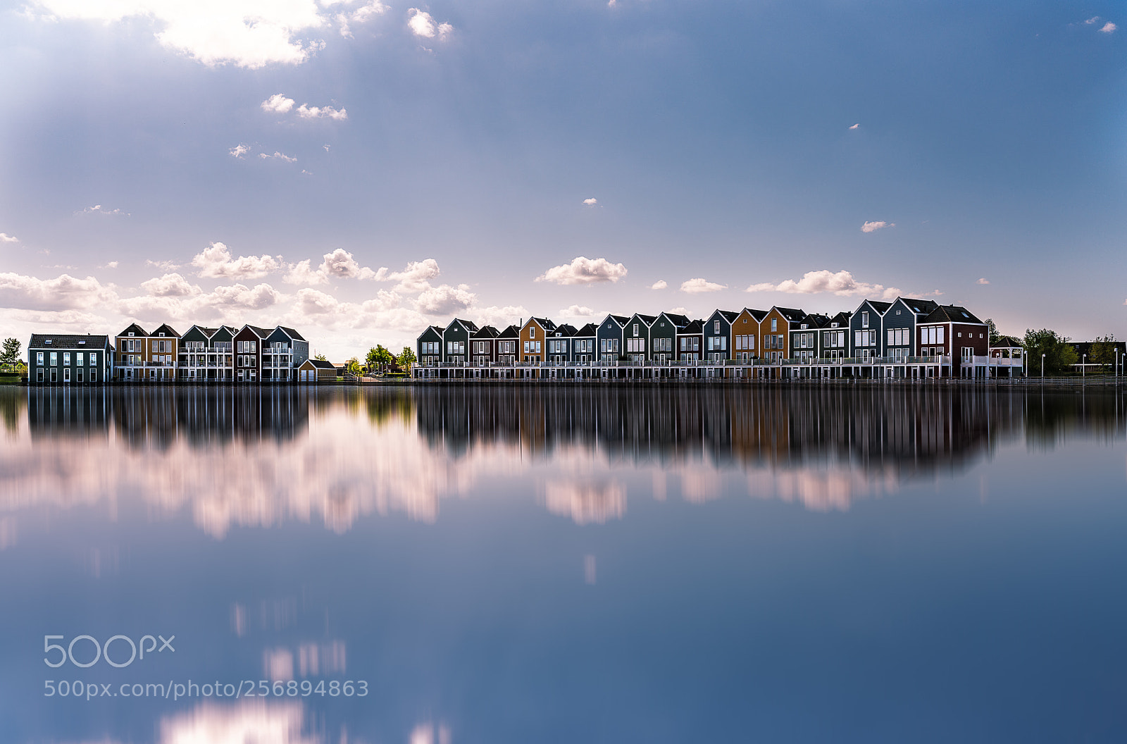 Sony a7R II sample photo. ~ neighbors ~ photography