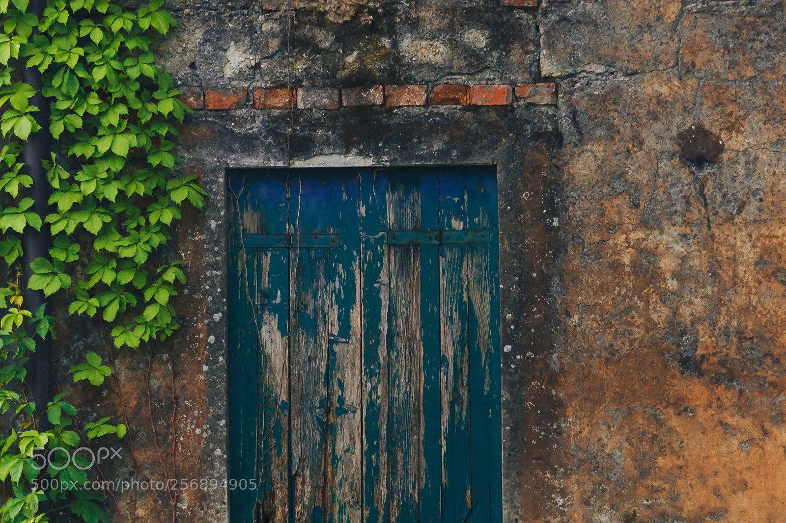 Canon EOS 60D sample photo. Wall photography