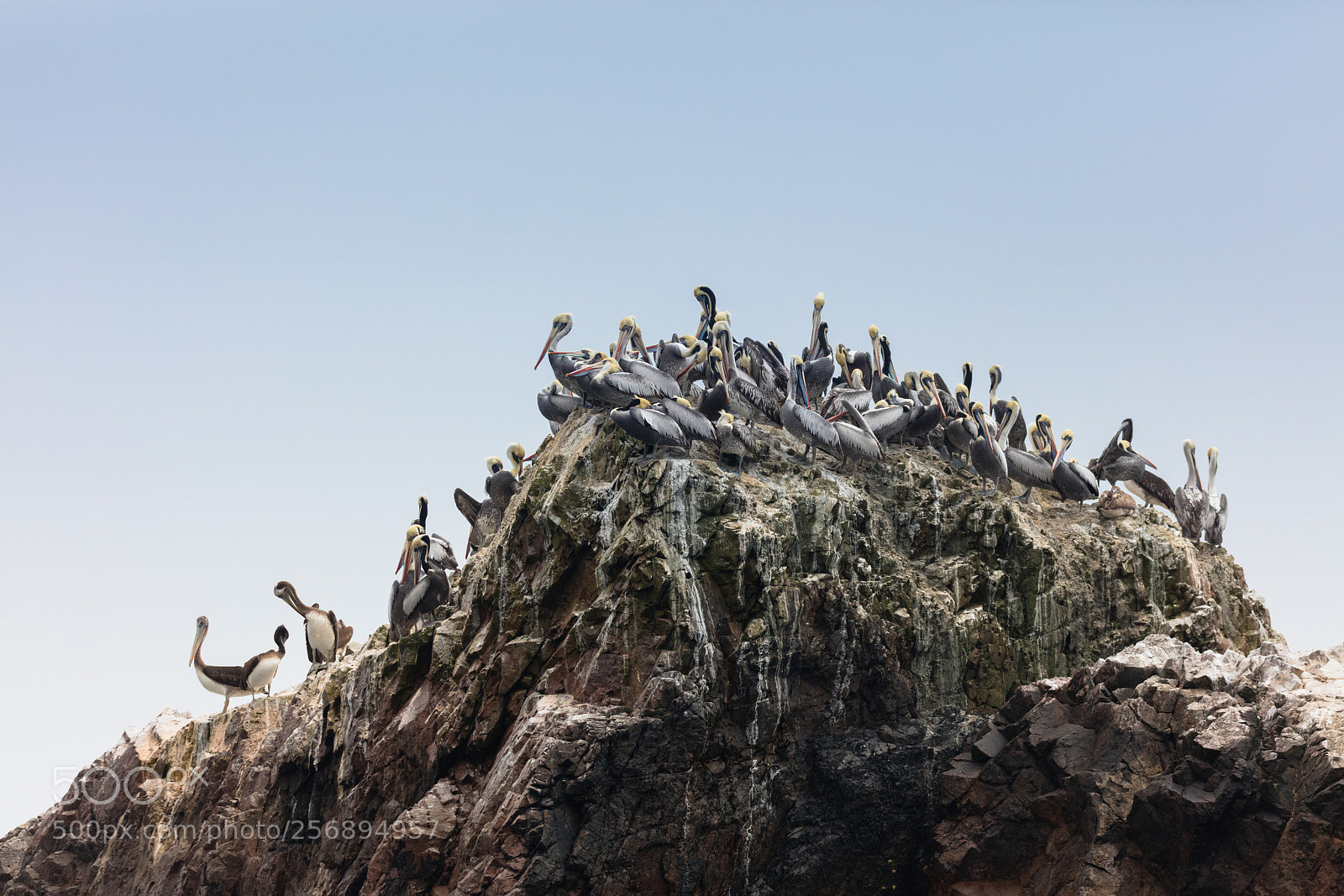 Canon EOS 5DS R sample photo. Ballestas islands, perù photography