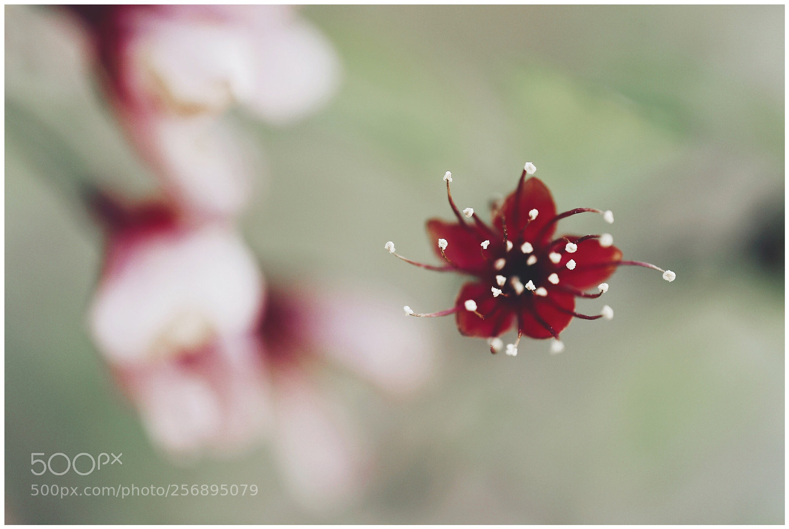 Canon EOS 6D sample photo. Untitled photography