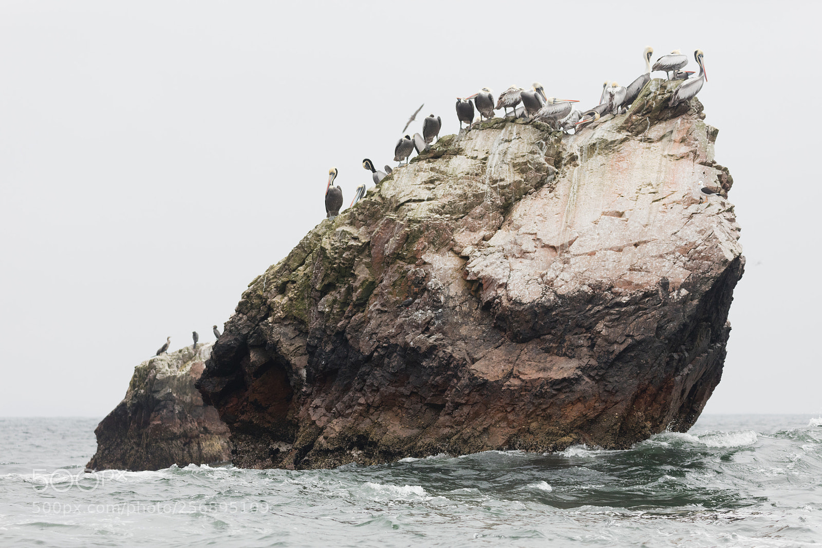 Canon EOS 5DS R sample photo. Ballestas islands, perù photography