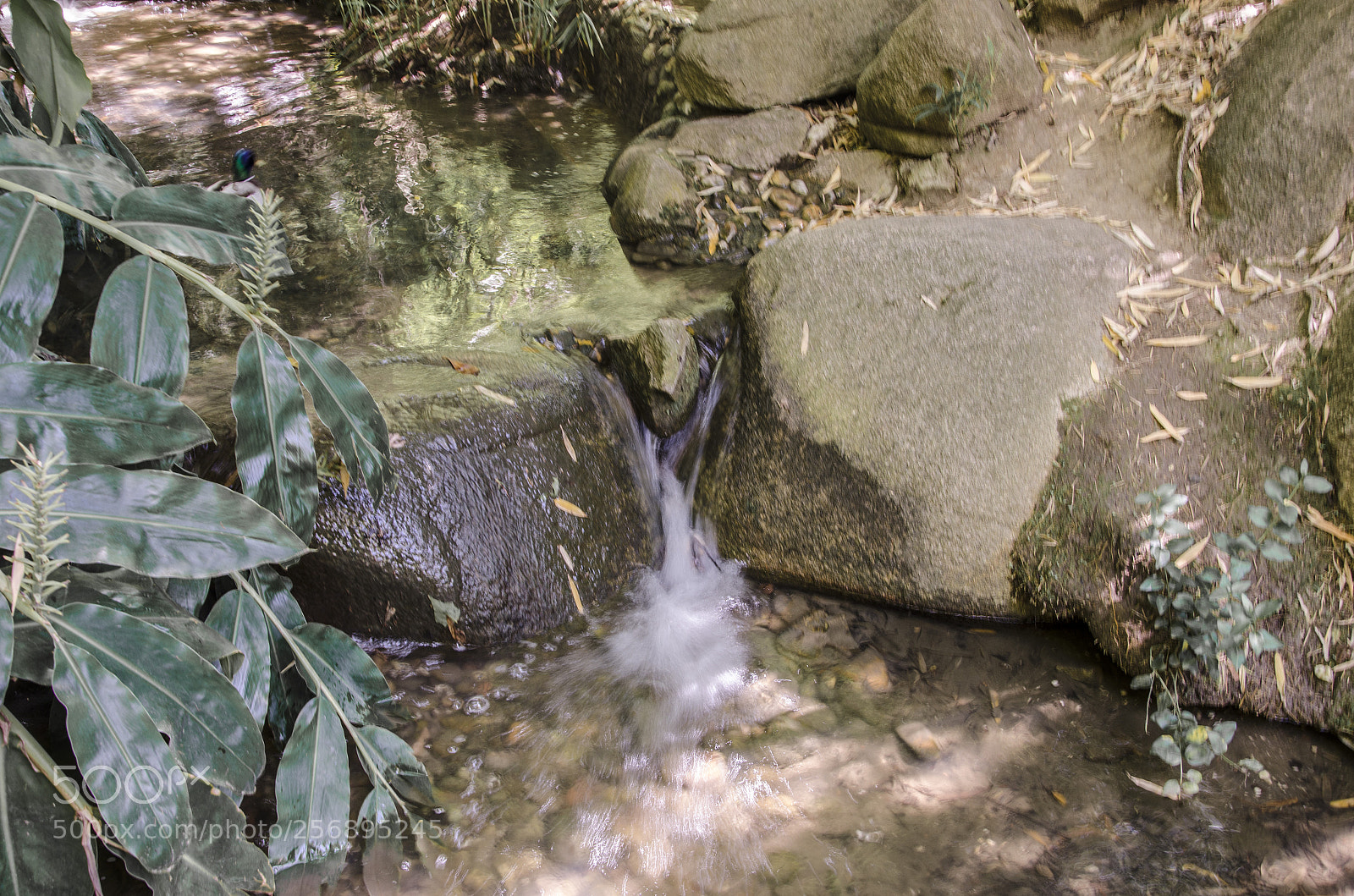 Nikon D7000 sample photo. Gulbenkian oásis ii photography