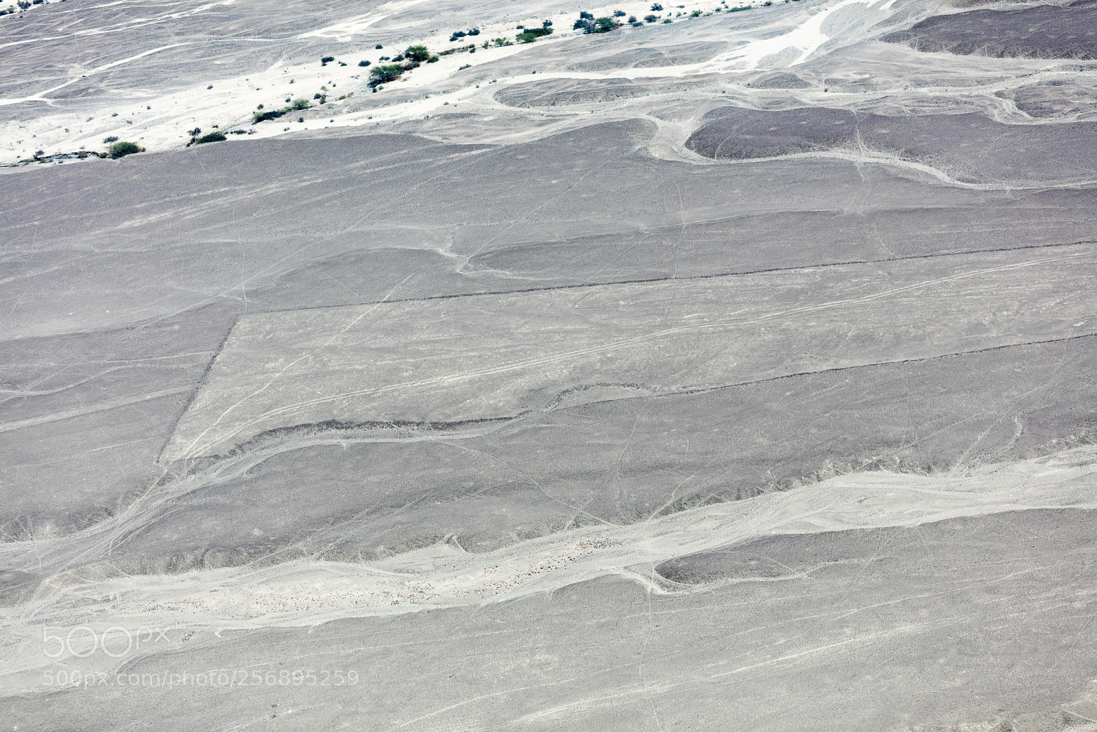 Canon EOS 5DS R sample photo. Nazca lines from the photography