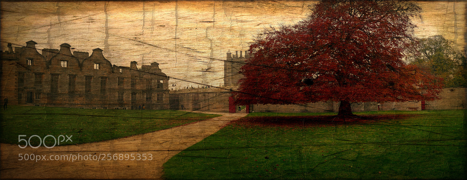Panasonic Lumix DMC-FZ1000 sample photo. Bolsover castle pe photography