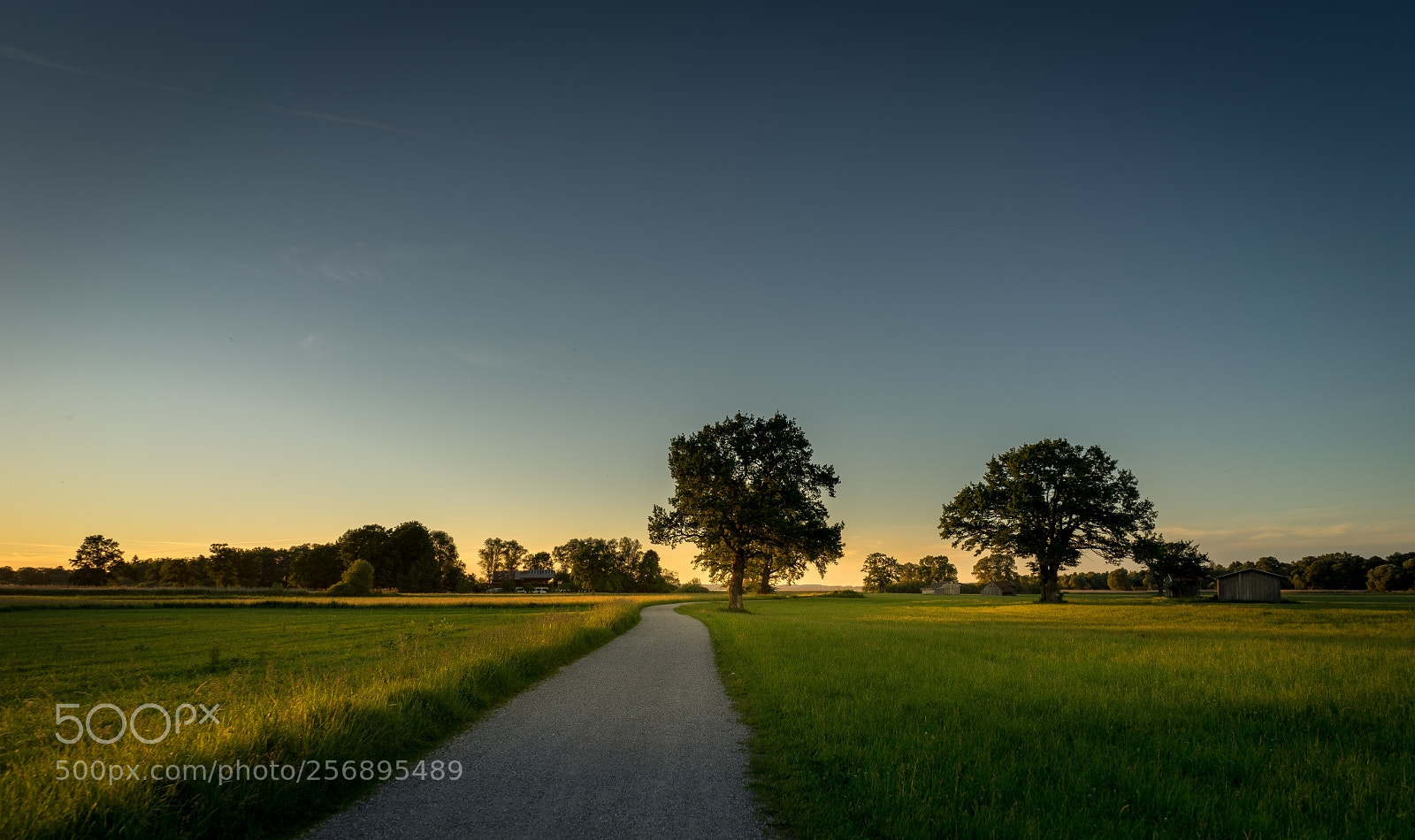 Sony a7 II sample photo. Lachsgang sunset stroll photography