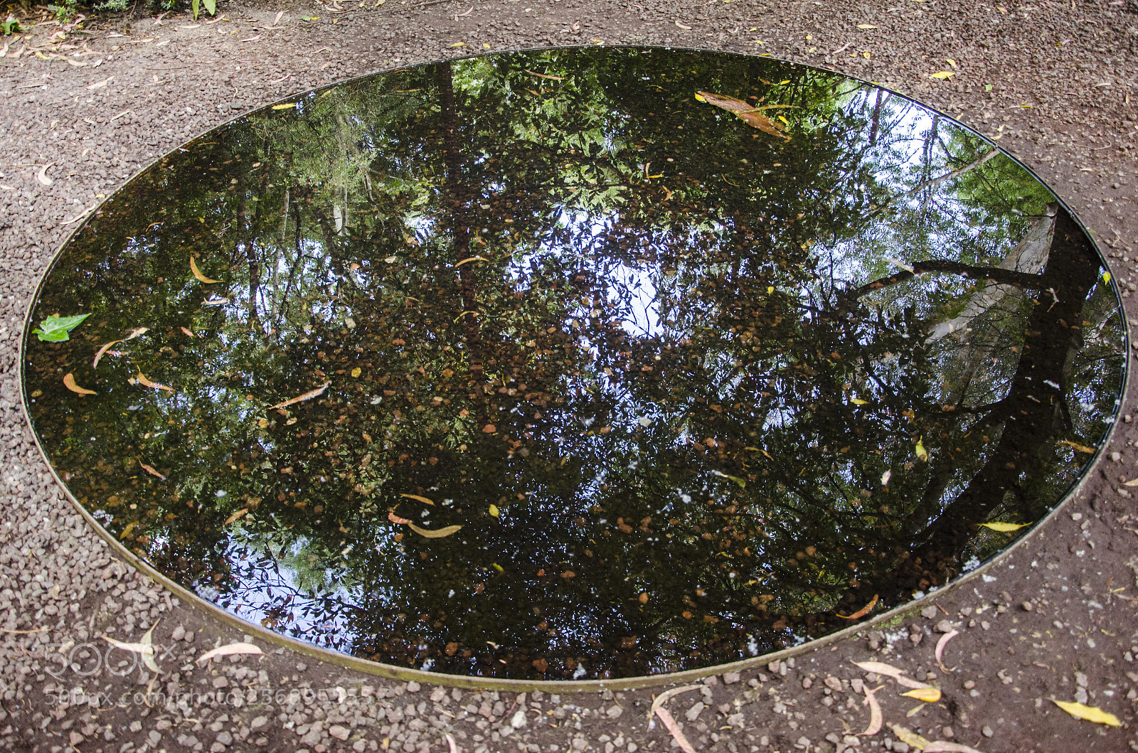 Nikon D7000 sample photo. Gulbenkian floor mirror? photography