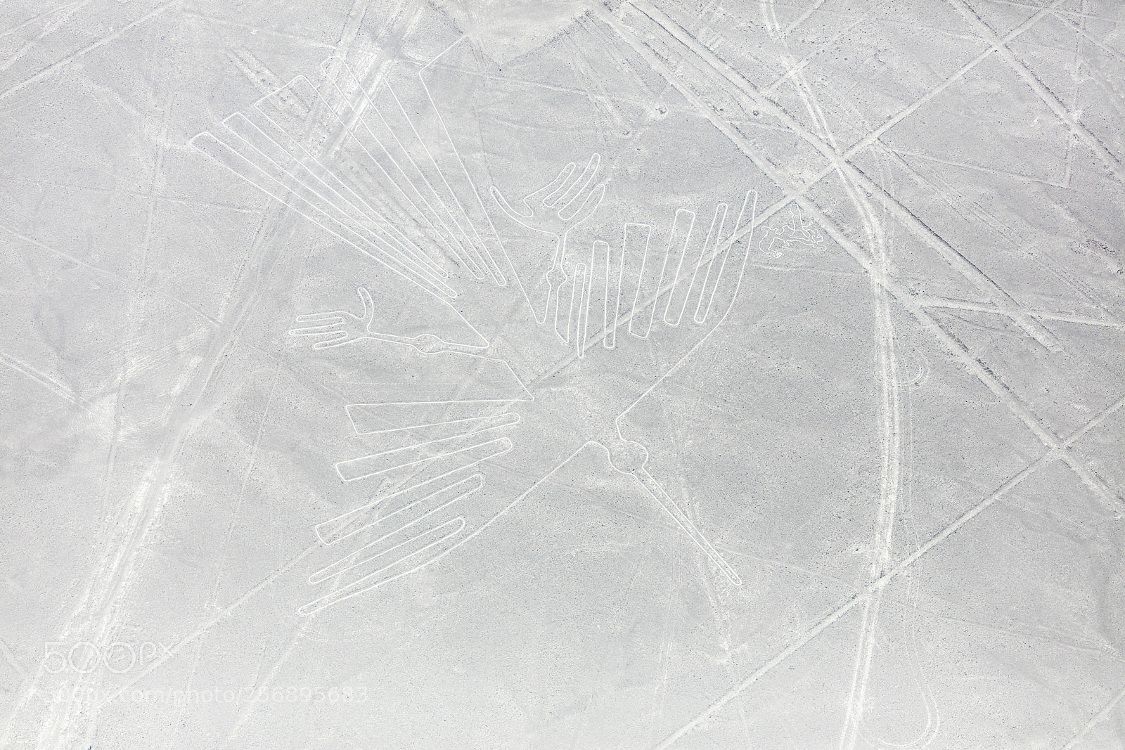 Canon EOS 5DS R sample photo. Nazca lines from the photography