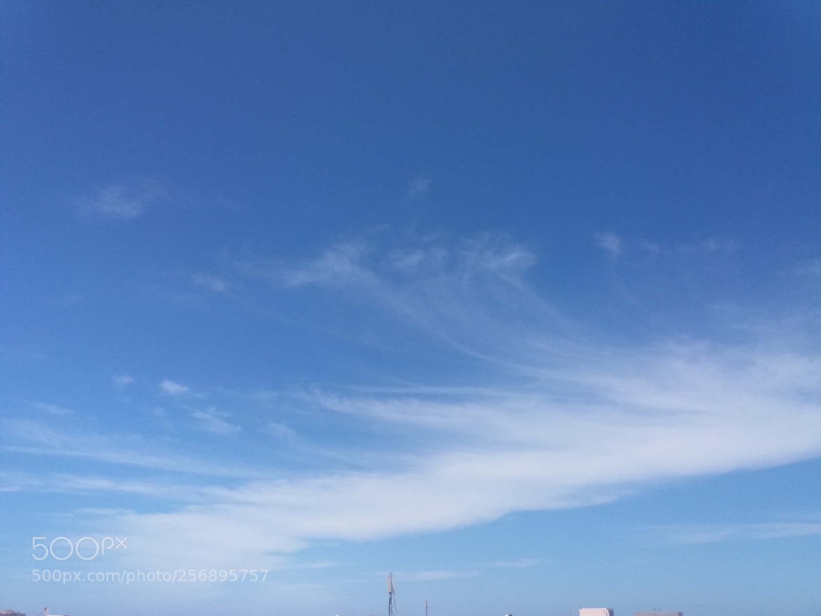 Samsung Galaxy J5(2016) sample photo. Untitled photography