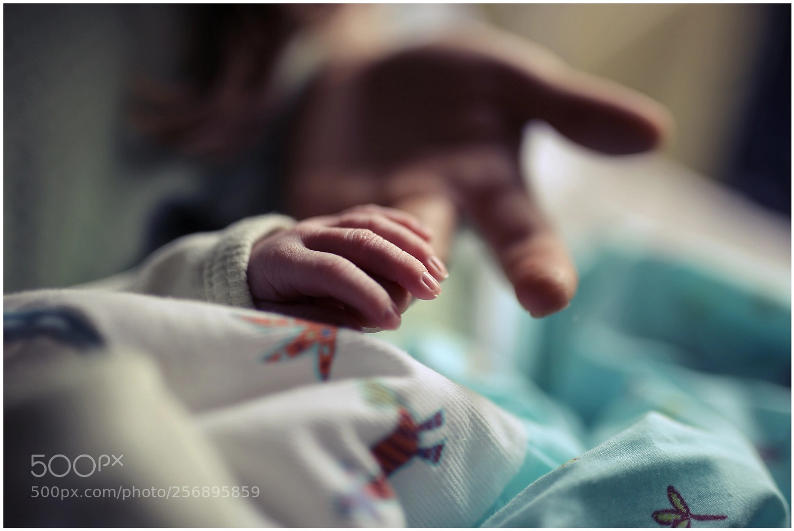 Canon EOS 6D sample photo. Untitled photography