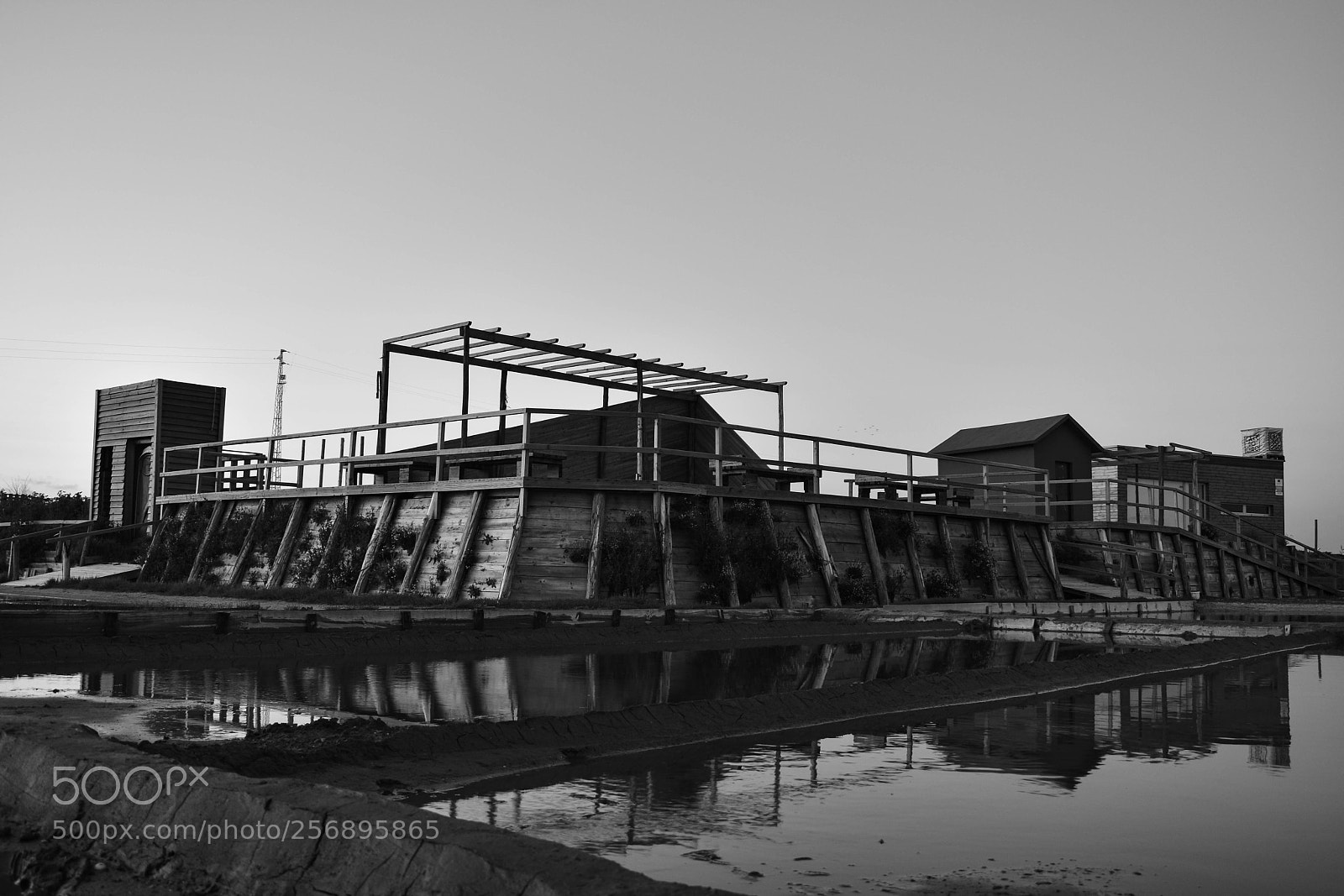 Nikon D3400 sample photo. One's own company photography