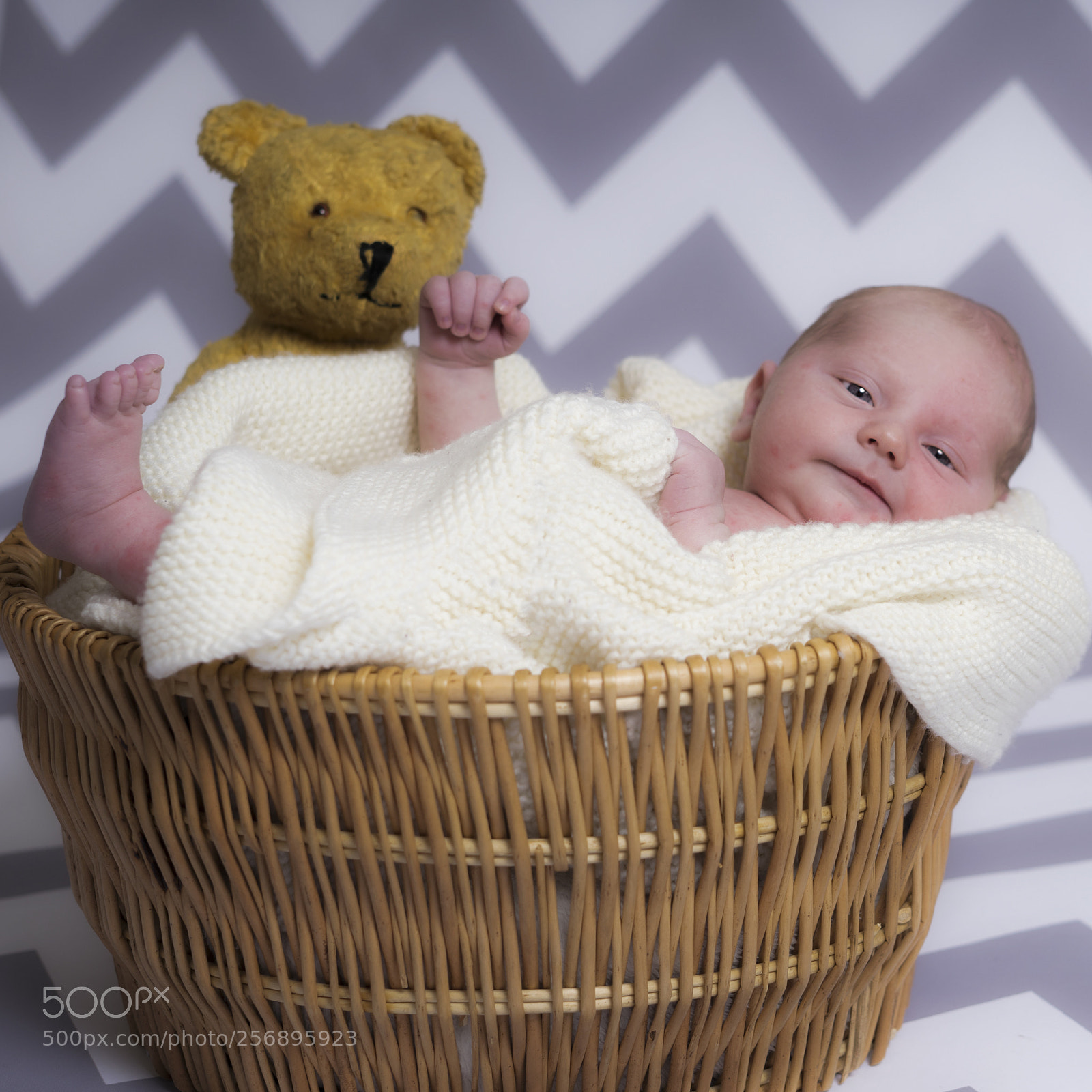 Sony a7 II sample photo. Ozzy  and teddy photography