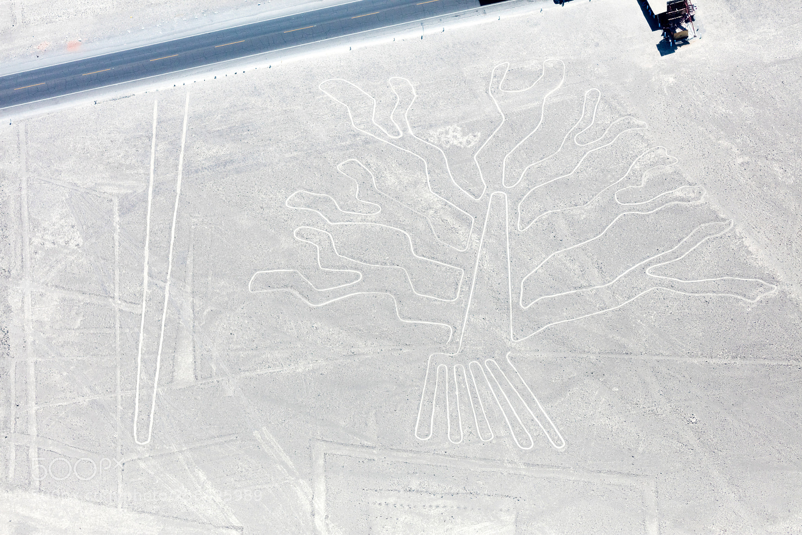 Canon EOS 5DS R sample photo. Nazca lines from the photography