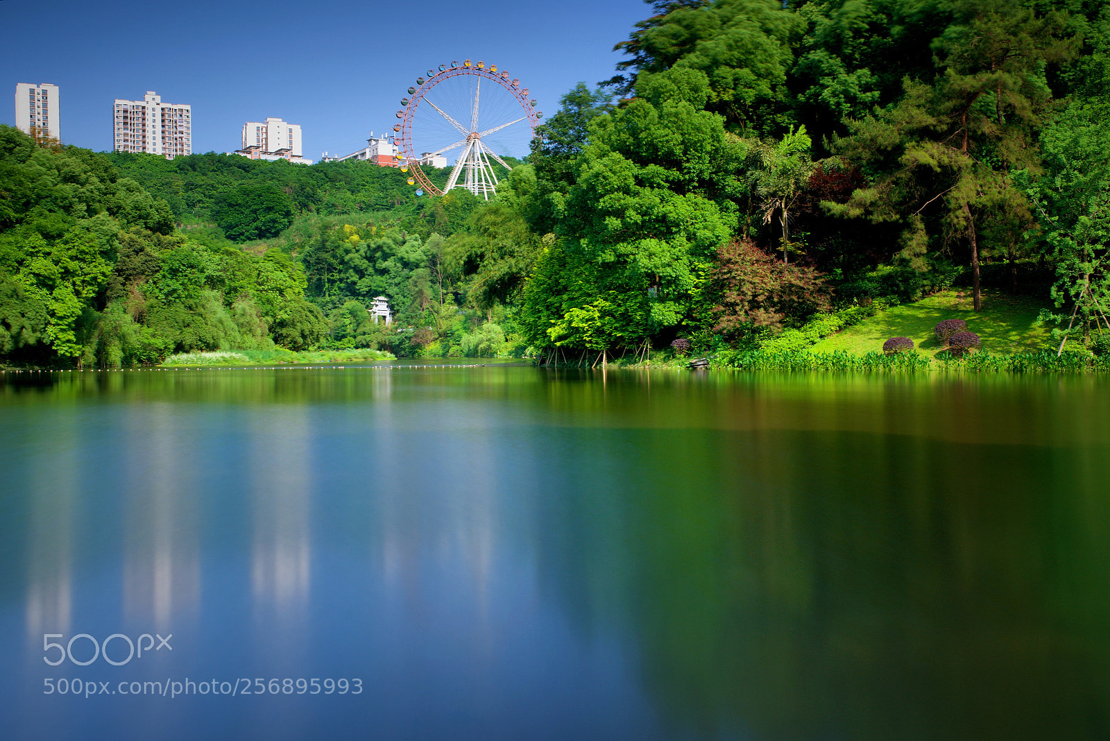 Nikon D810 sample photo. 雨后初夏 photography