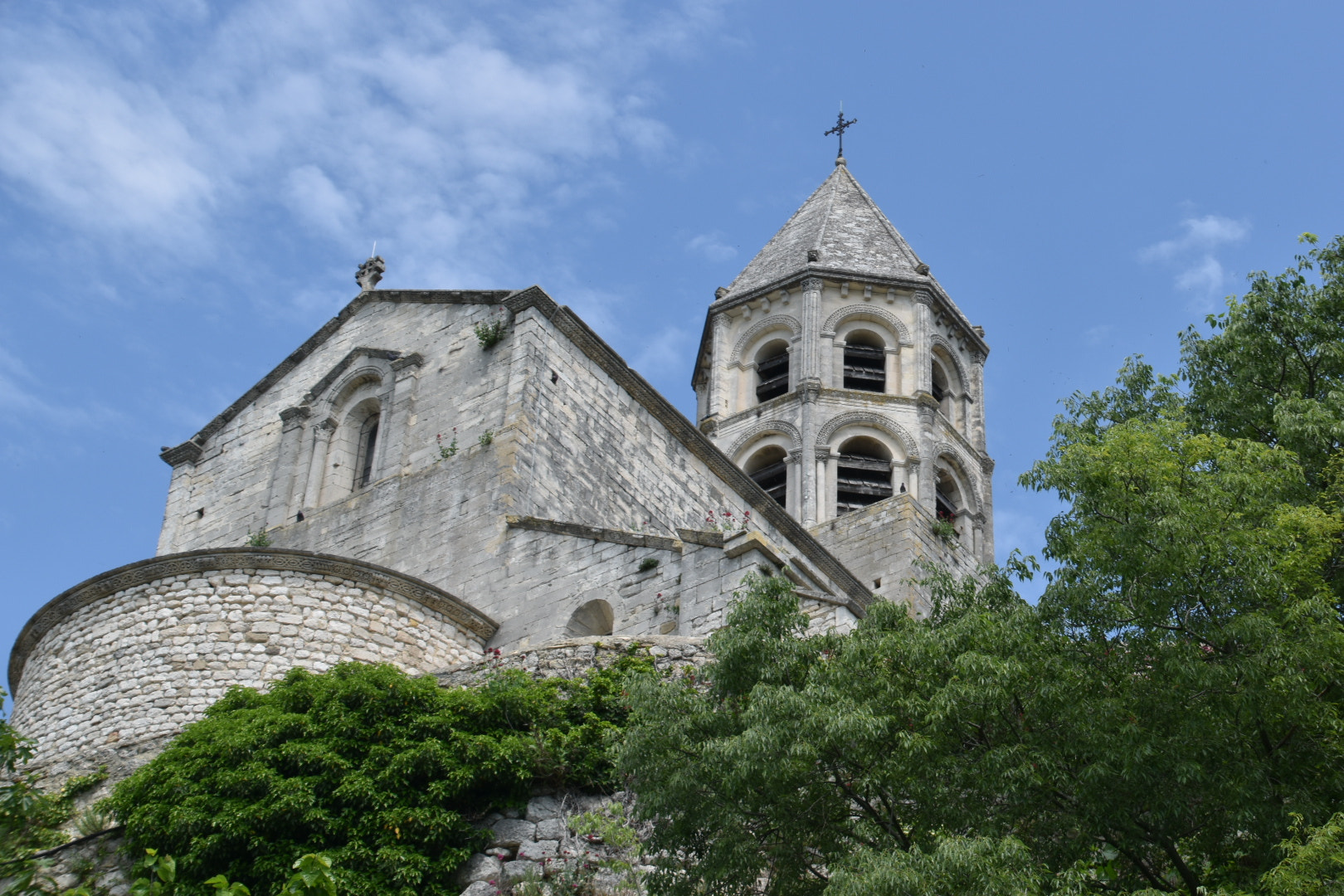 Nikon D5600 sample photo