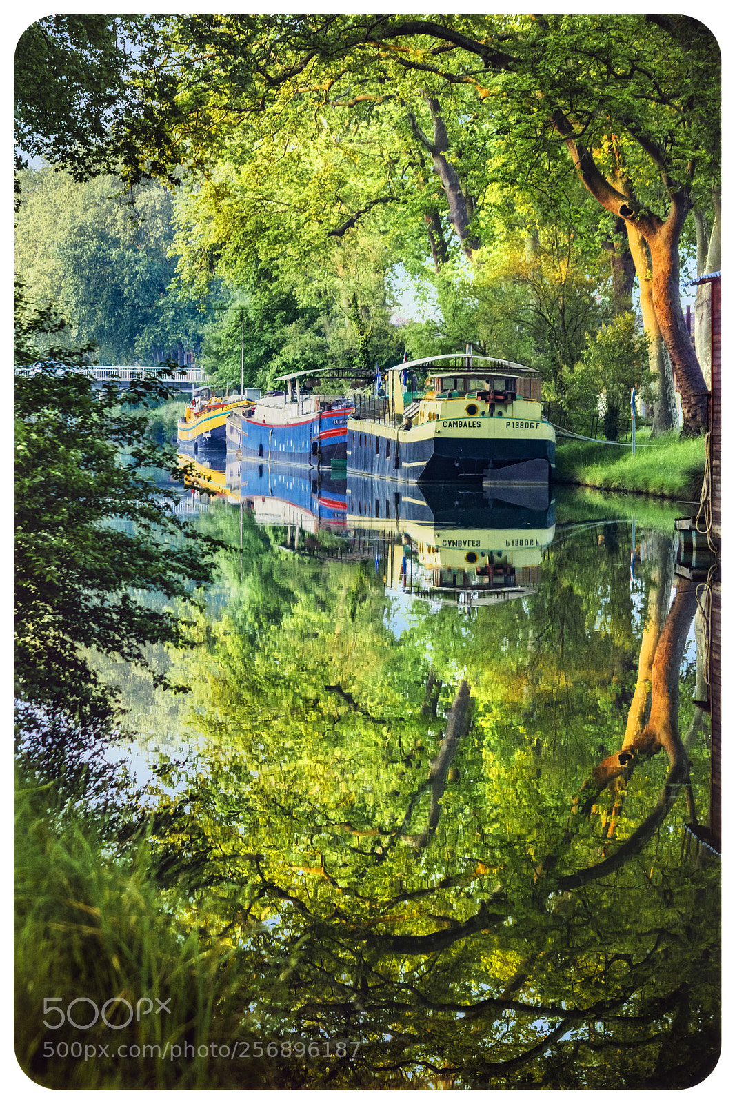 Nikon D7200 sample photo. Springtime on the canal. photography