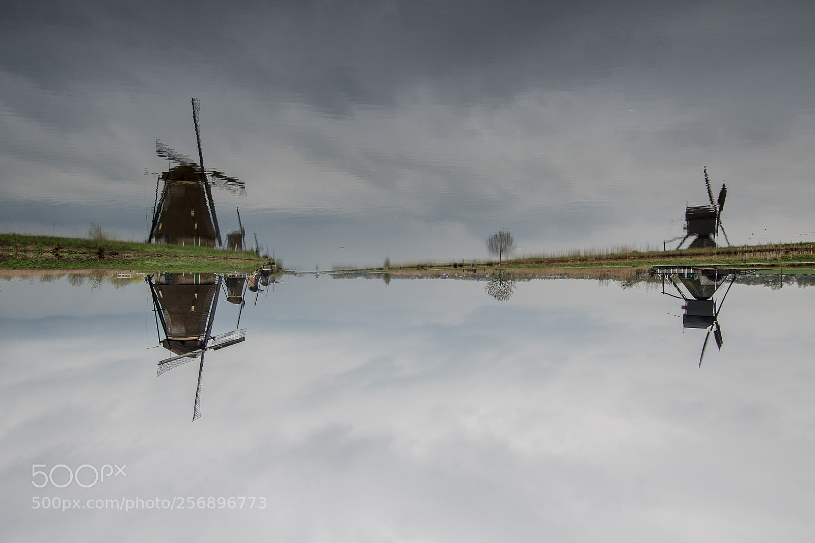 Canon EOS 760D (EOS Rebel T6s / EOS 8000D) sample photo. Upsidedown/reflections photography