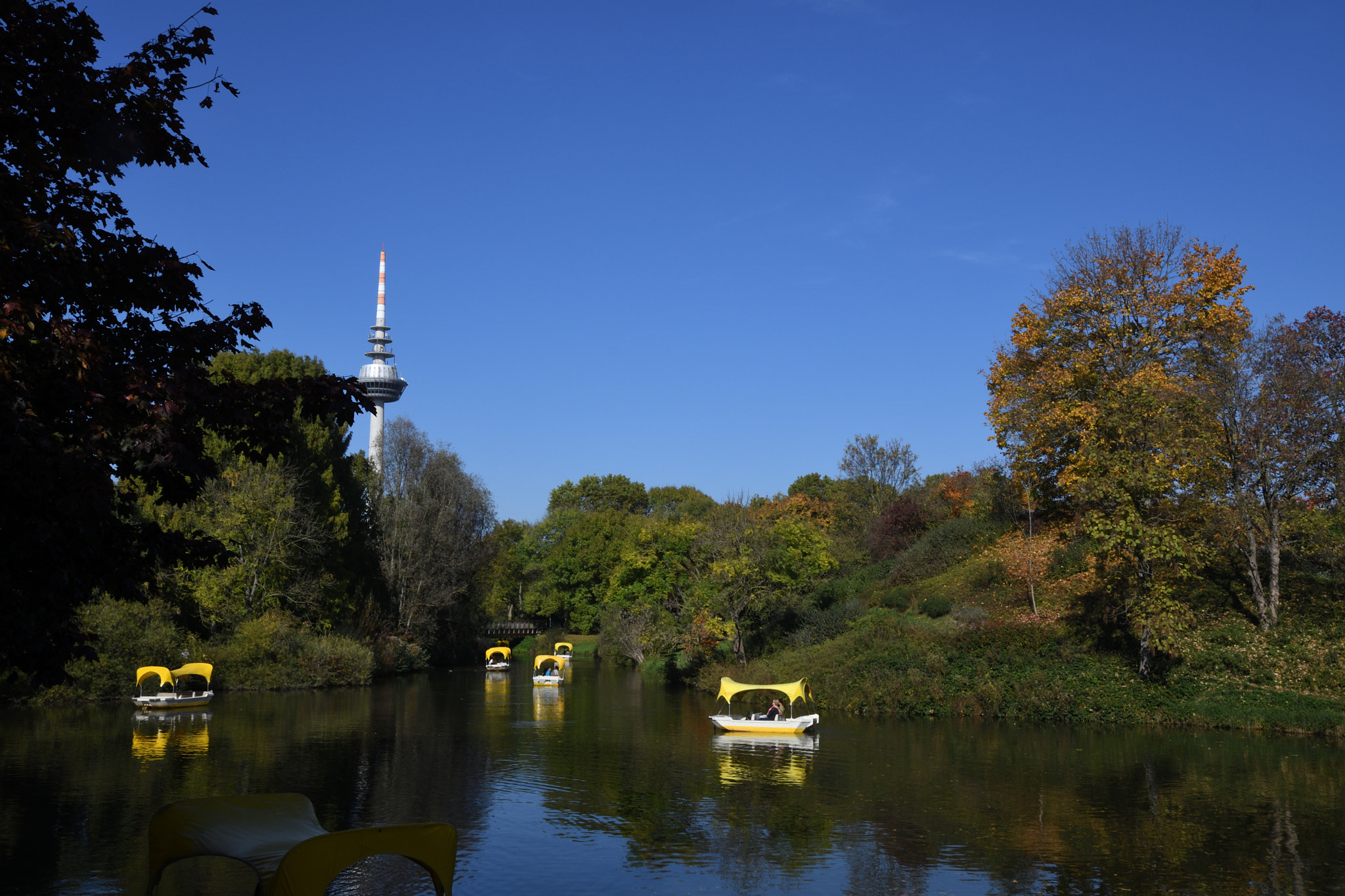 Nikon D500 sample photo. Luisenpark.jpg photography