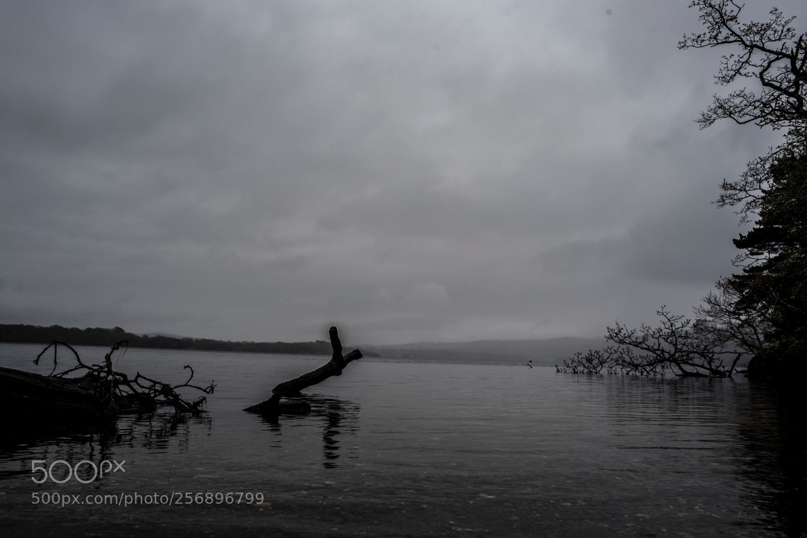 Nikon D750 sample photo. D photography