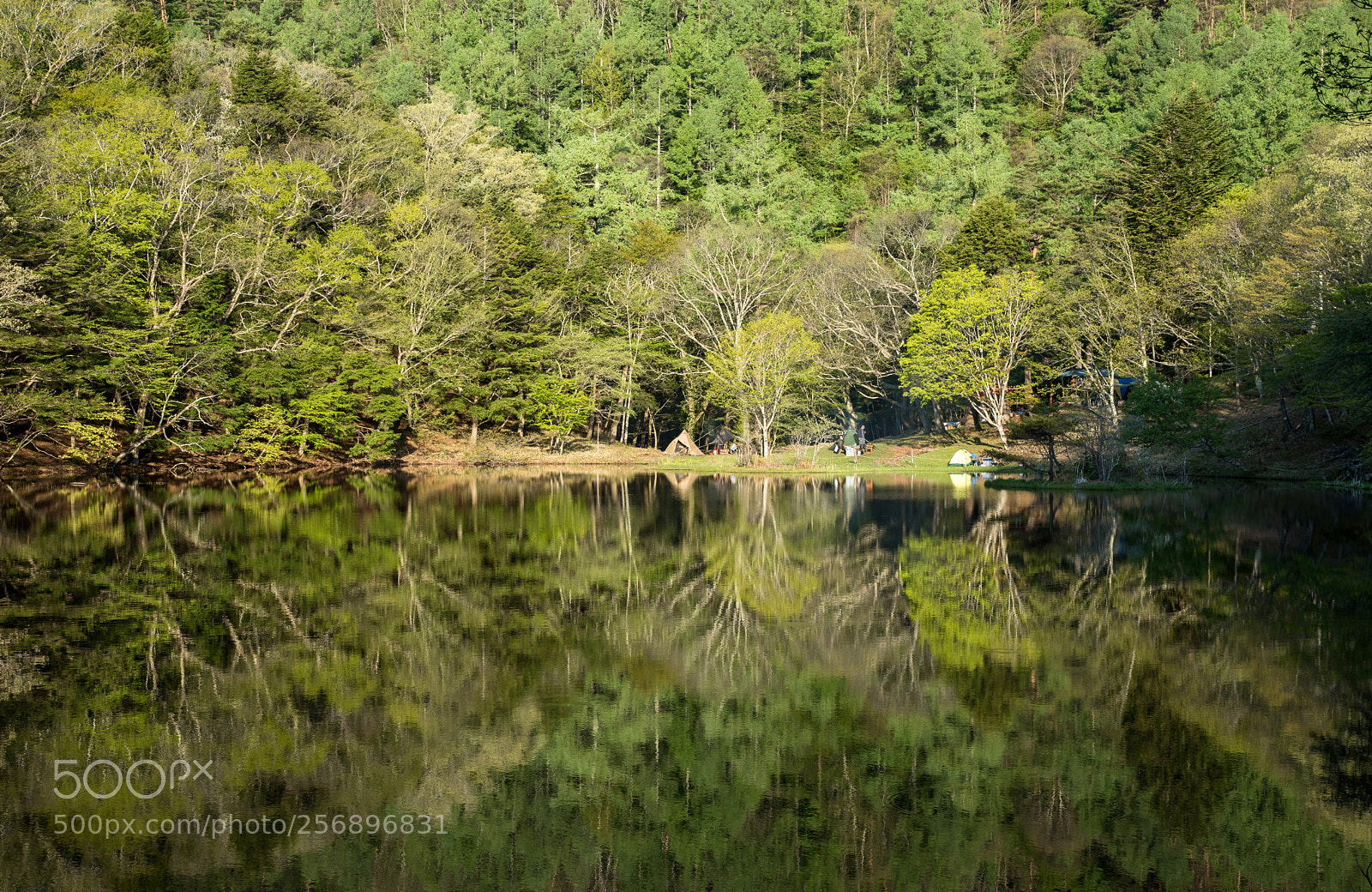 Nikon D750 sample photo. Perfect campsite photography