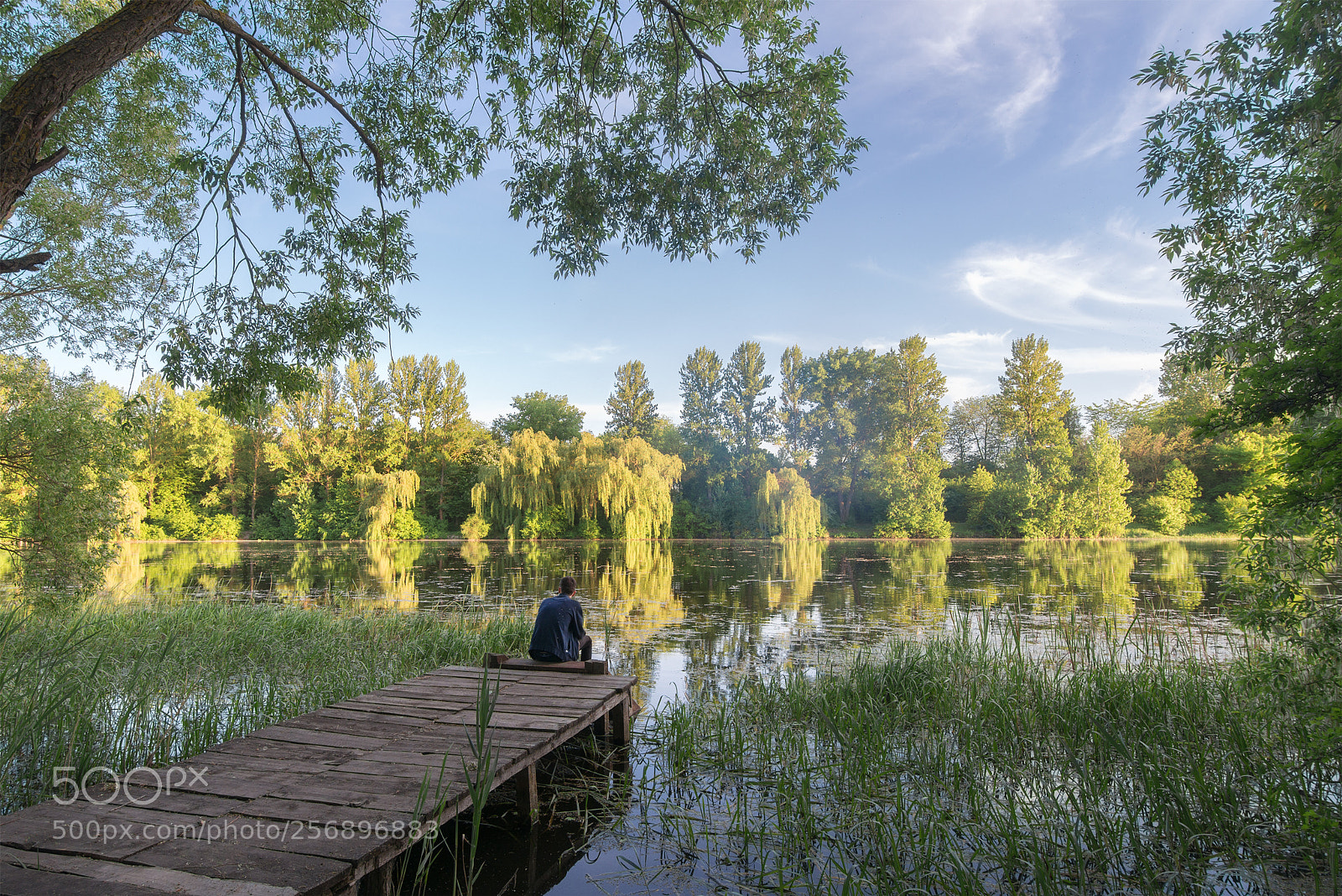 Nikon D610 sample photo. Pmf_2566-1.jpg photography