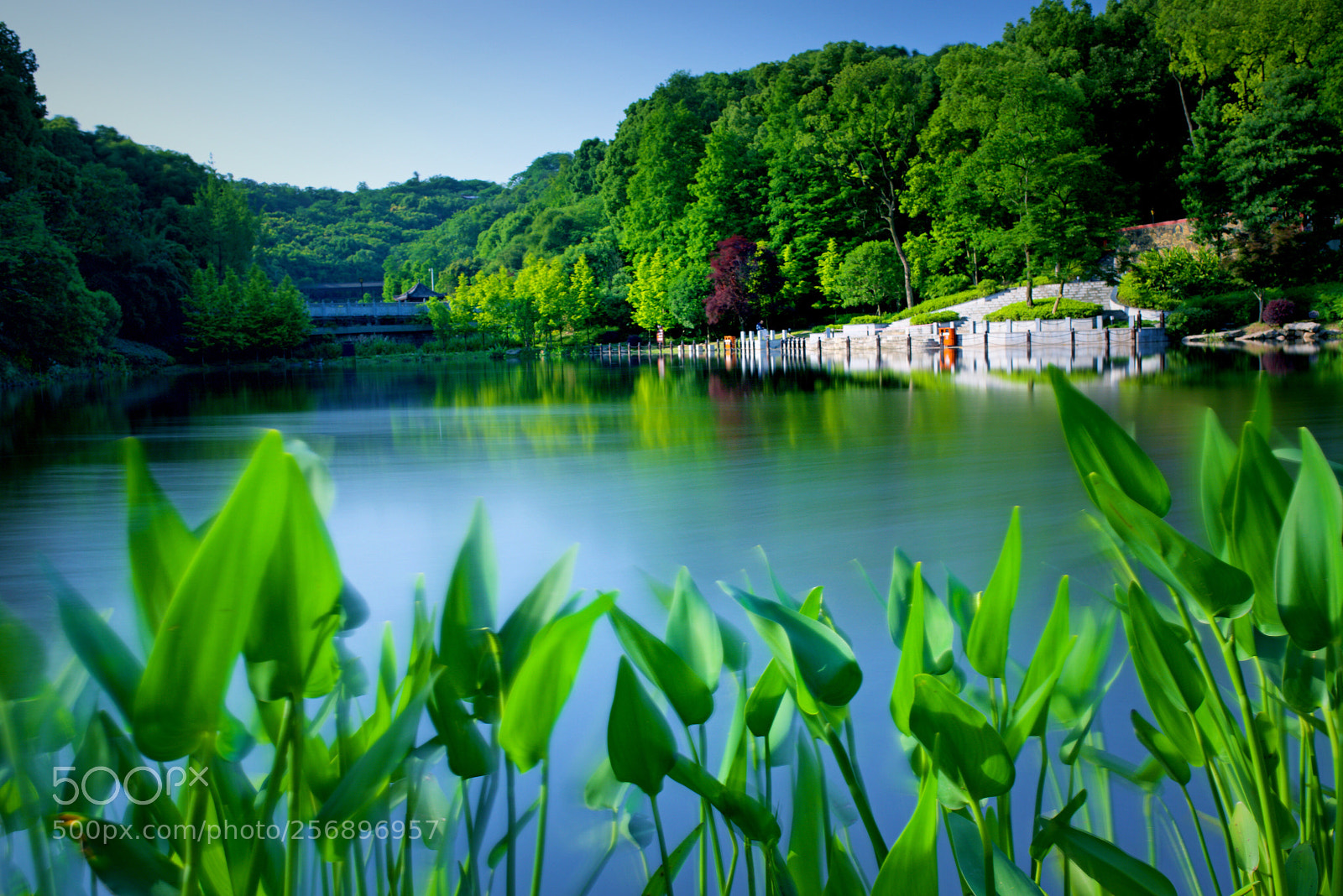 Nikon D810 sample photo. 夏天的味道 photography