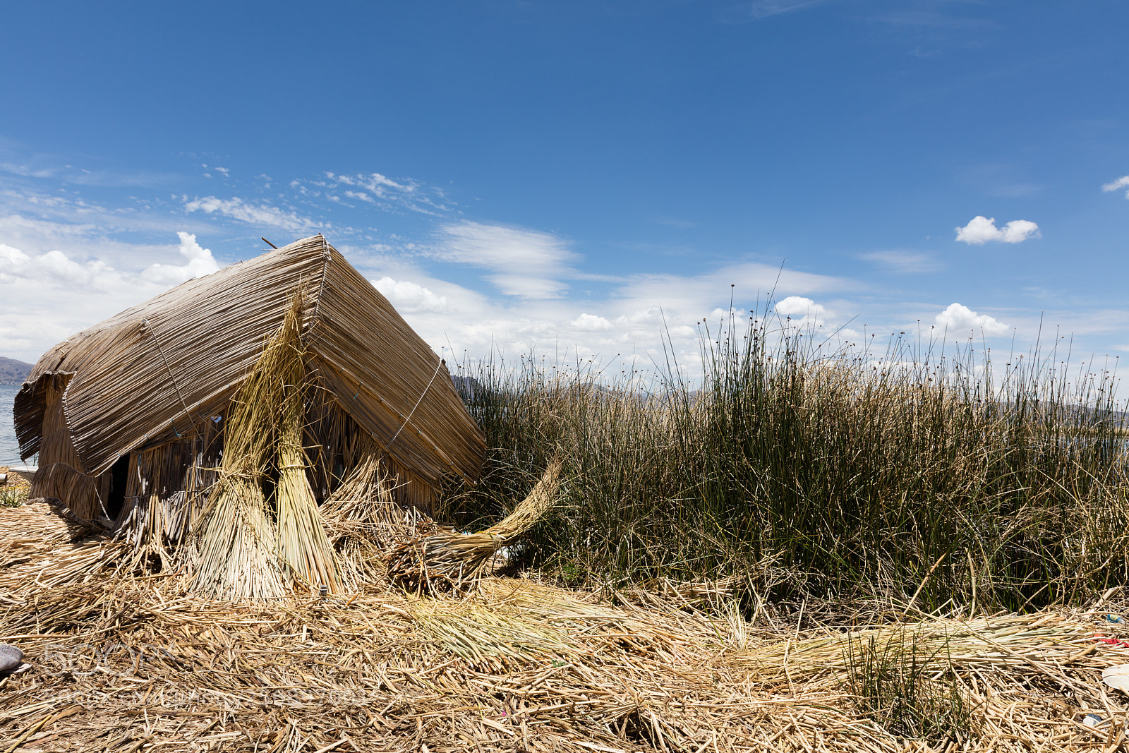 Canon EOS 5DS R sample photo. Life on the titicaca photography