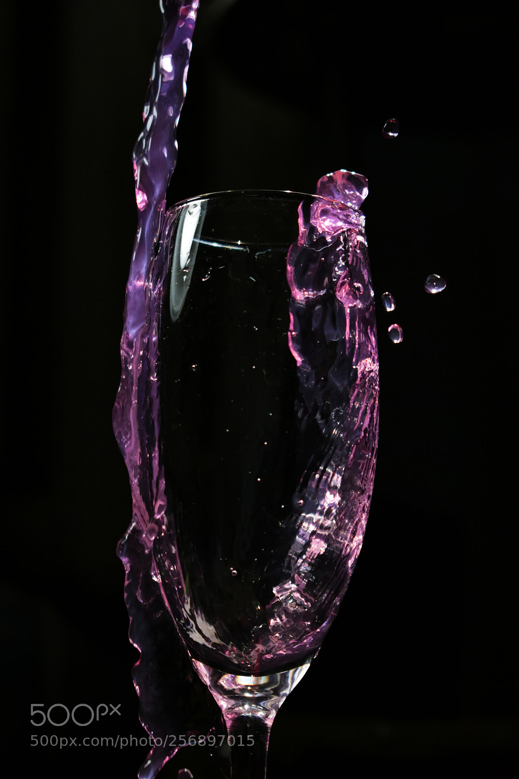 Nikon D3400 sample photo. Plum! photography