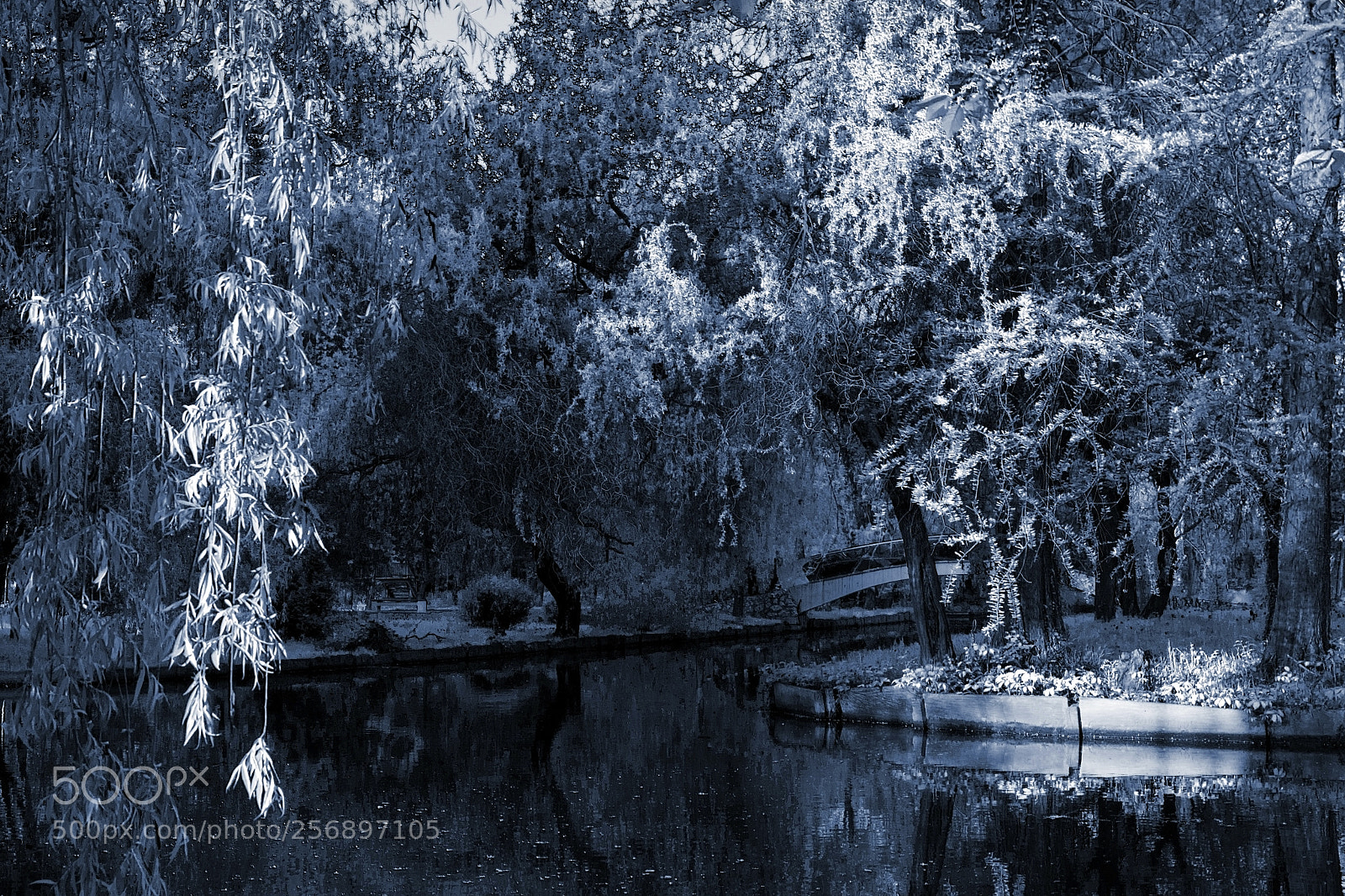 Nikon D7200 sample photo. Blue world photography
