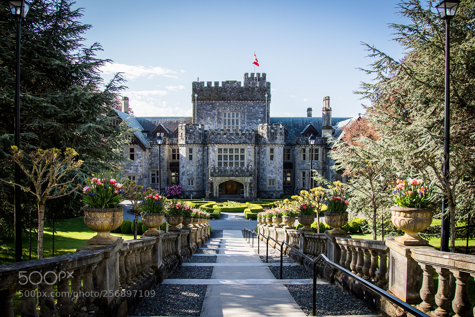 Canon EOS 6D Mark II sample photo. Hatley castle photography