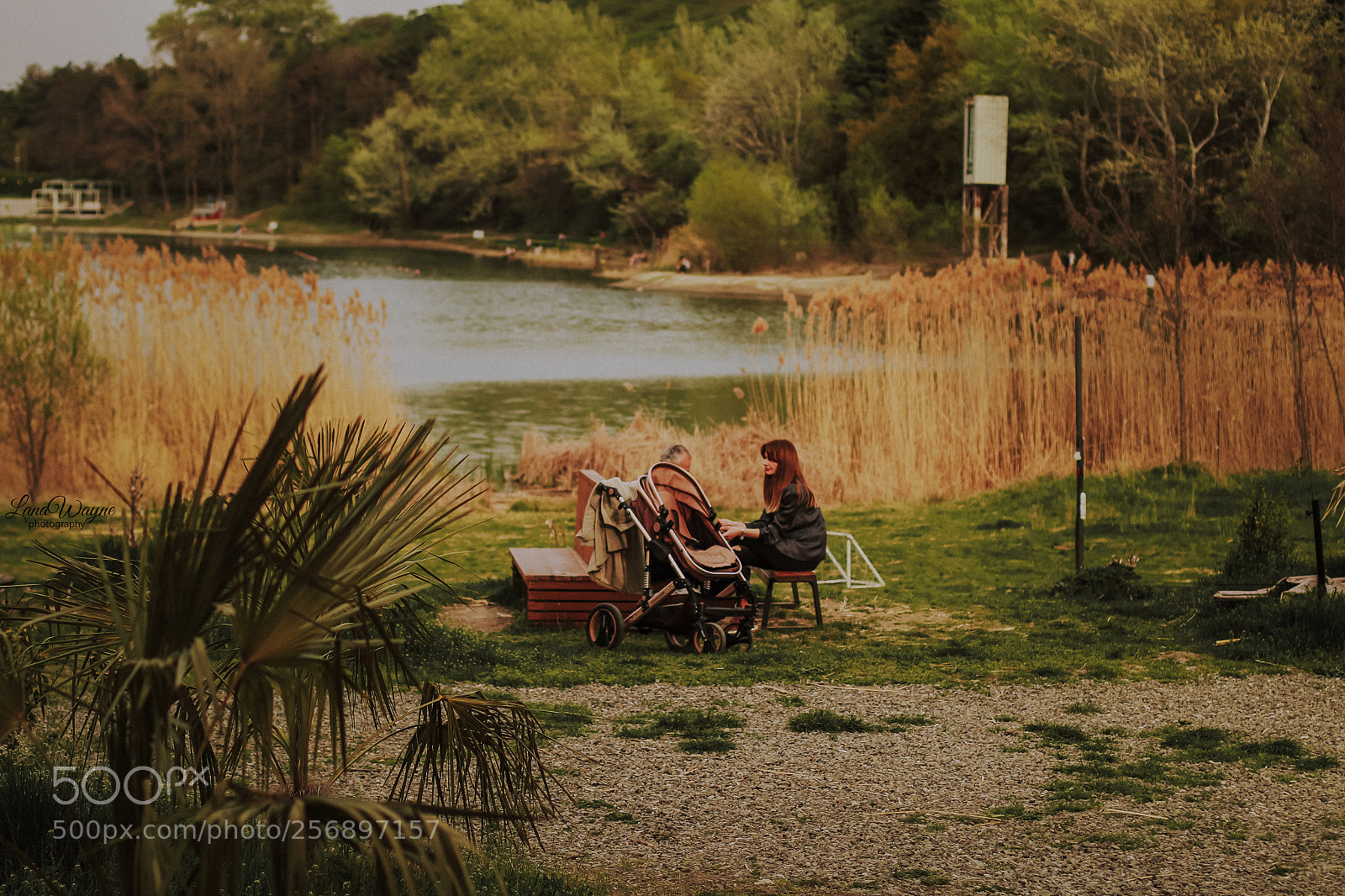 Canon EOS 7D Mark II sample photo. Lake photography