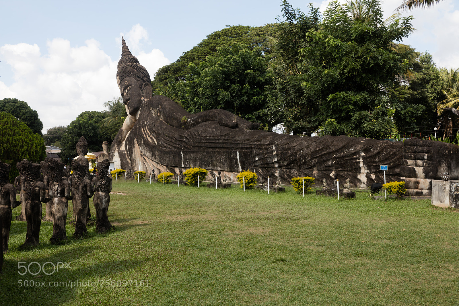Canon EOS 5DS R sample photo. Wat xieng khuan buddha photography