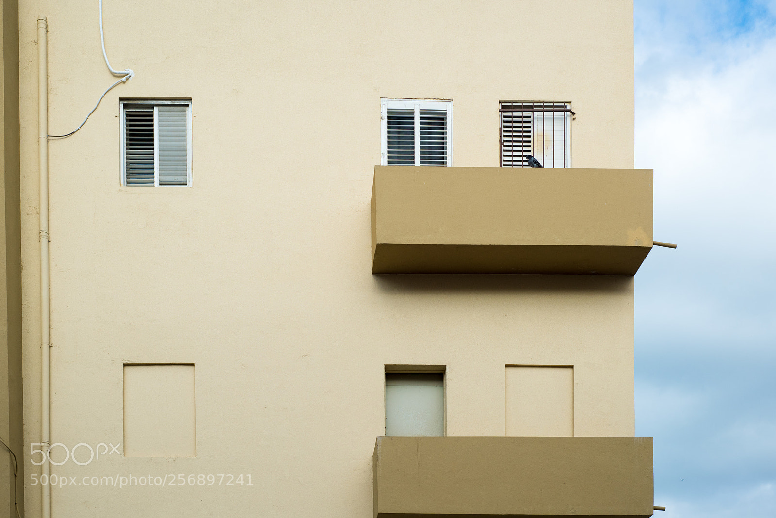 Nikon D810 sample photo. Geometry photography